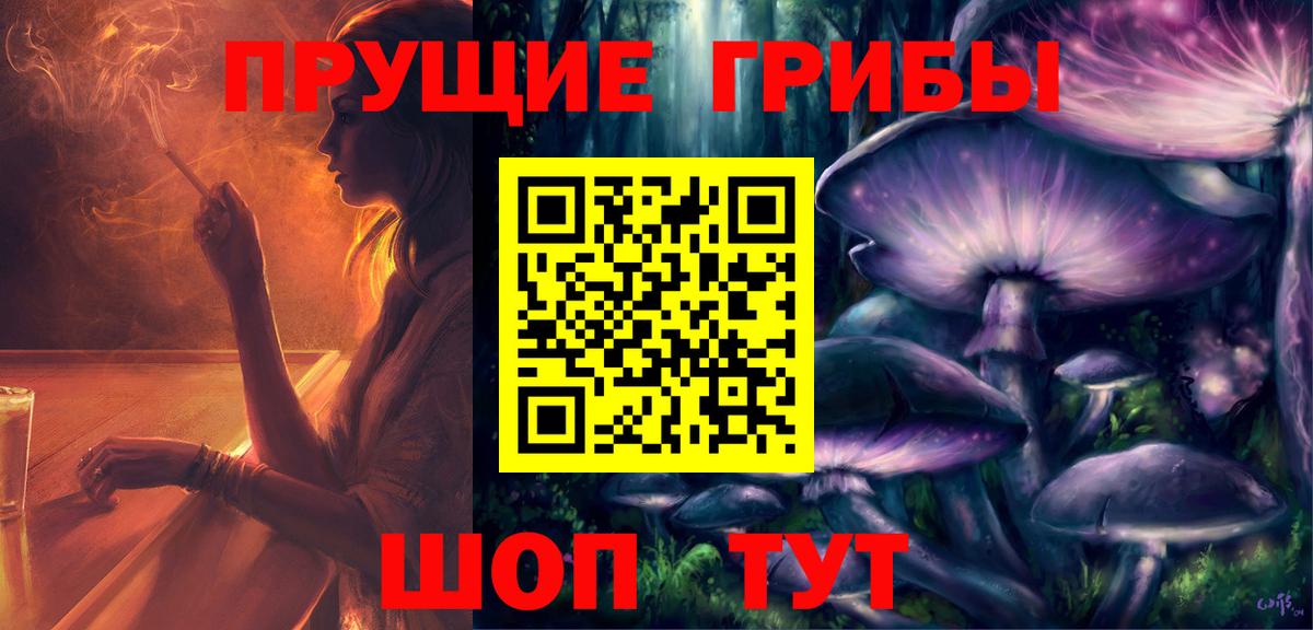 где можно купить   Псилоцибиновые грибы прущие грибы  Вход с VPN  Великий Новгород  Галлюциногенные грибы Psilocybe 