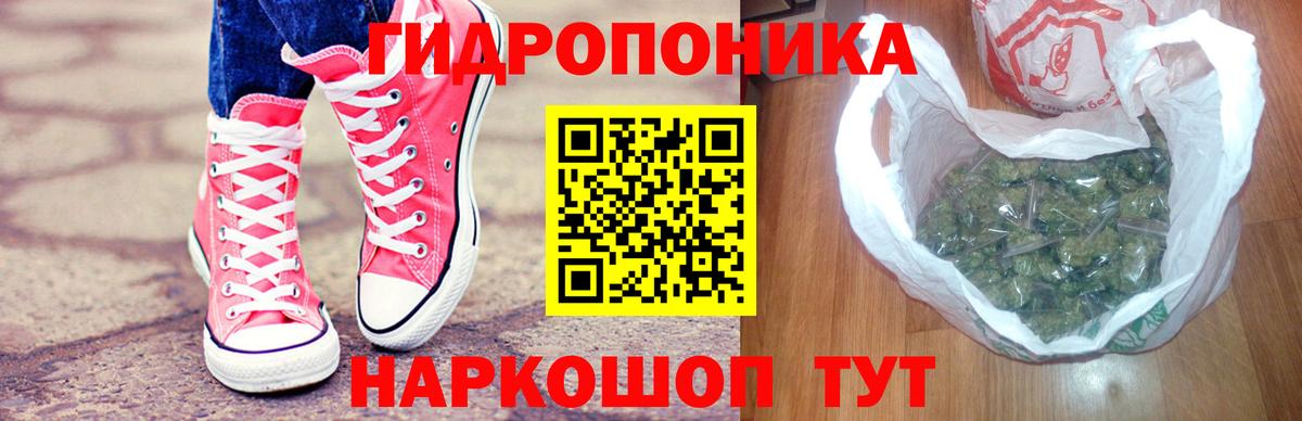 Каннабис конопля  Вход с VPN  Великий Новгород  Канабис сатива 